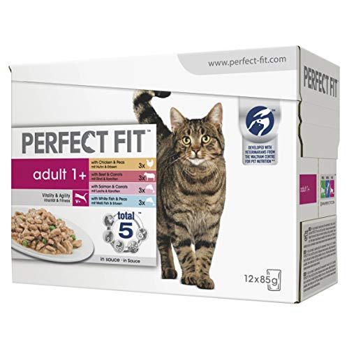 Perfect Fit Katze Il Miglior Prezzo Di Amazon In Savemoney Es