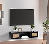 ZYBT Floating TV