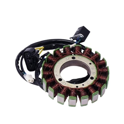 Stator 18 pôles pour LH500 alternateur bobine allumage LH1BK-81410-00 moto quad