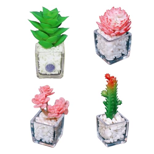 Imanes Decorativos de Plantas Suculentas MIUPOO Set de 4 miniatura 1