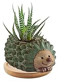 zmgmsmh Decorative Ceramic Planter with Bamboo Base Indoor Plant Holder Animal Shaped Ceramic Succulent Pot with Drainage Mini Succulent Plants Cactus Planter (Small Hedgehog)