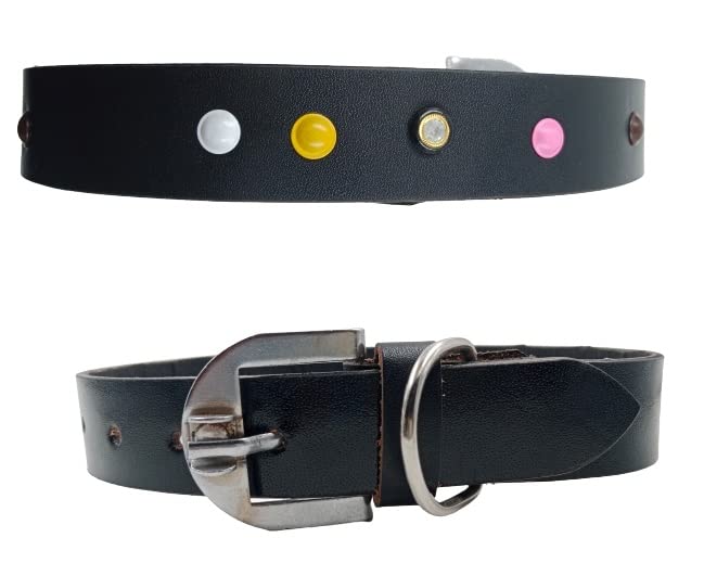 Forever99 Pet Shop Studded Leather Dog Collar Neck Belt for all stage breeds Extra Large 21 to 24 inch neck for fit Combo pack 2 art#-119 (B09NGJYB8B) Amazon Price History, Amazon Price Tracker