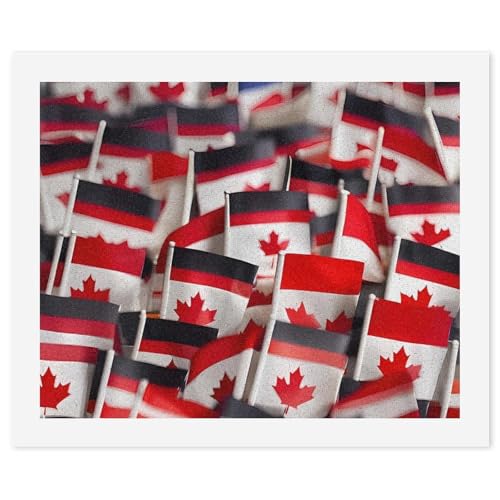 Peinture par numéros adultes drapeaux canadiens 56,9 x 47 cm sur toile