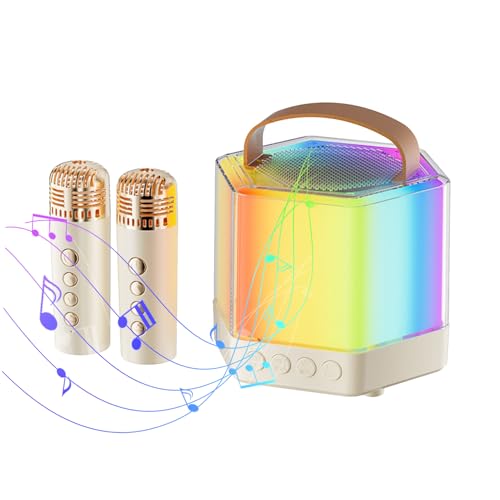 Machine de karaoké pour adultes avec 2 micros sans fil et haut-parleur LED