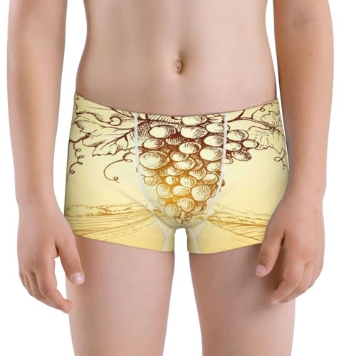Boys' Cotton Boxer Brief Soft Underwear-Bunch Of Grapes