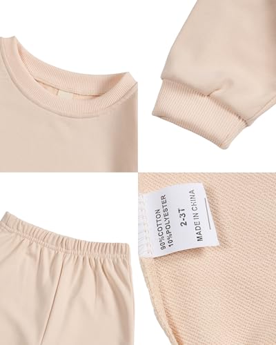 Toddler Baby Letter Don't Kiss Me Long Sleeve Sweatshirt Top Jogger Pants Set Cute Fall Winter Clothes Set4