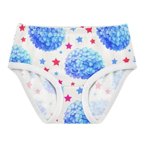 Blue Hydrangea Flowers Stars Panties Little Girl Toddler Underwear Floral Cotton Funny Undies Kids Briefs 2t