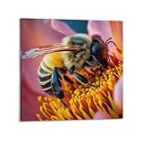 Poster mit Tierinsekten, Sulawesi-Biene, dekorative Leinwand, Wand- und Kunstposter, 50 x 50 cm