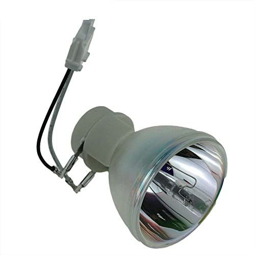 RLC-085 ampoule de projecteur ViewSonic PJD5232L pour vos soirées cinéma à la maison