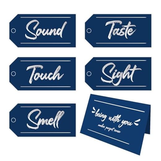 5 Senses Gift Tags Five Senses Card for Him 5 Senses Gift Tags for Husband Boyfriend for Anniversary, Birthday, Valentines Day (BlueSliver)