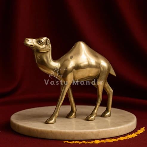 Image of Brass Camel Idol | Vastu Remedy for Endurance, Financial Stability & Trade Luck | Premium Brass Camel Showpiece for Home & Office