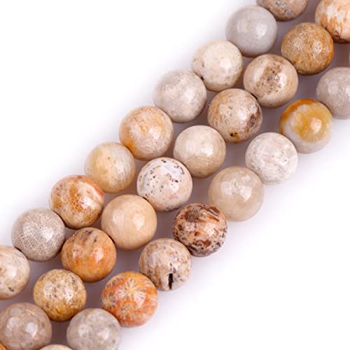 GEM-Inside Coral Fossil Gemstone Loose Beads Natural 6mm Round Chrysanthemum Crystal Energy Stone Power for Jewelry Making 15"