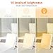 EasyHome Light Therapy Sun Lamp 10000 Lux LED Energy with 10 Adjustable Brightness Dual Color Temperature Adjustment White Warm Light 4 Timer and Memory Function