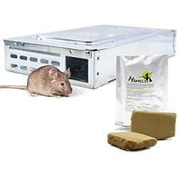 Señuelo Raton Trampa para Ratones multicaptura - Captura Ratones Vivos (DTRM) - Incluye Hamelin, Atrayente Natural de Ratones y Ratas