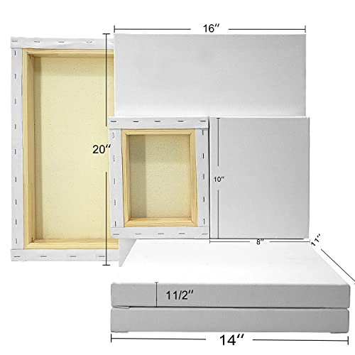 PHOENIX Gallery Stretched Canvases Multi Pack, 8x10, 11x14, 16x20 Inch (2 of Each) - 11 Oz, 1/2 Inch Deep Thick 100% Cotton Primed White Blank Artist Canvas for Oil & Acrylic Pouring - Thumbnail 4