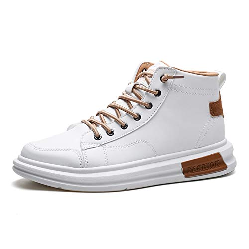 [LECMT] Y AEghA [gu[c CG[ N Xm[u[c hu[c h {A V[gu[c E₷ YV[Y j nCJbg Xj[J[ ₷ C JWA 24.5cm ʋΗp d U s