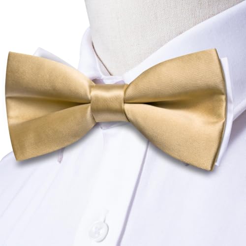 Image of Dubulle Mens Paisley Striped Bowtie Set Pre-tied Bowtie for Men and Pocket Square Set Wedding Business