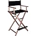 JC Beauty Professional Makeup Artist Directors Lightweight Portable Foldable Aluminum Chair with Backrest Footrest and Hinge Lock