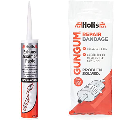 Holts LOYPRO29A Pro Cartridge Professional Exhaust Assembly Paste, 300 ml & Gun Gum Repair Bandage