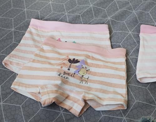 Little Girls Underwear Cotton ages 2,3,4,5 Years Old Striped of 5 Pack Soft Breathable Baby Toddler Panties Boyshorts2