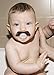 Stachifier Imagen de Stachifier