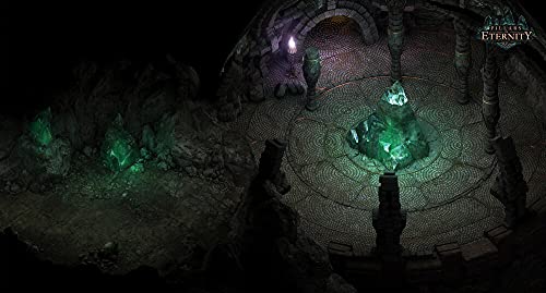 Pillars of Eternity Playstation 4 - vue 4