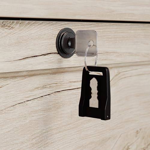 image for Sauder Hammond 2 Drawer Lateral File Cabinet for Home Office, Filing C