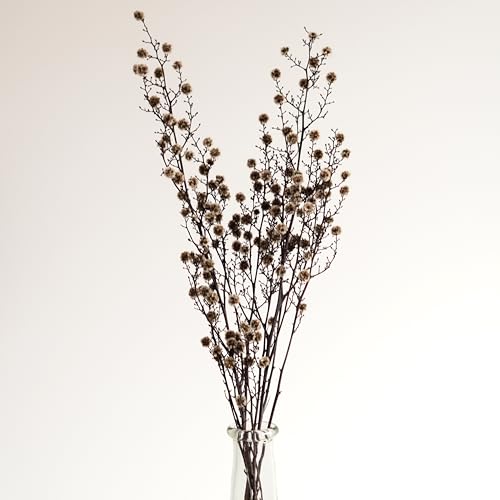 Flor Natural Secada para Decoración Interior miniatura 1