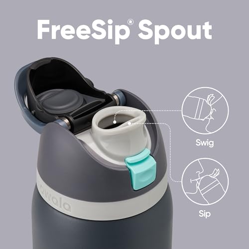 Image of Owala FreeSip Insulated Stainless Steel Water Bottle with Straw for Sports and Travel, BPA-Free, 32oz, Foggy Tide