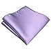 JEMYGINS 3.15“ Lavender Pre-tied Tie and Pocket Square Set Adjustable Zipper Necktie for Business and Wedding(8cm-4)
