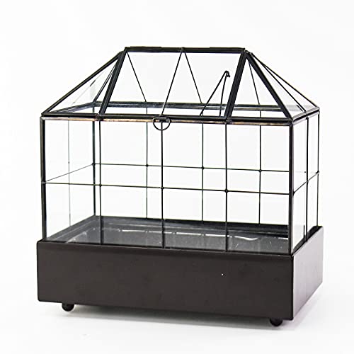 Buy Plant glass terrarium In Pakistan Plant glass terrarium Price