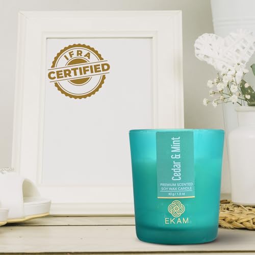 Image of EKAM Cedar & Mint Votive Soy Wax Scented Candle, 40 Grams, 10 Hours Burn Time| Long Lasting Premium Candles | Ideal for Home Decor | Gifting & Aromatherapy