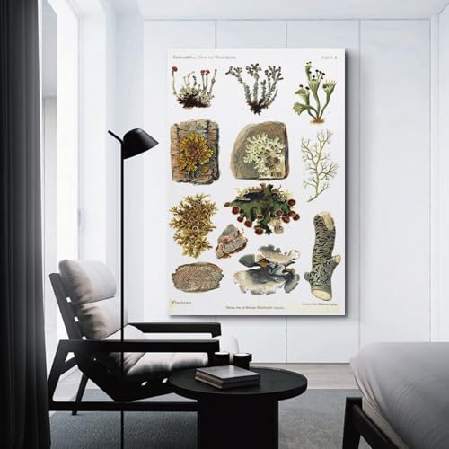 Samsung QE55S85FAU 139 7 cm 55 4K Ultra HD Smart TV Wifi Neuf - vue 6