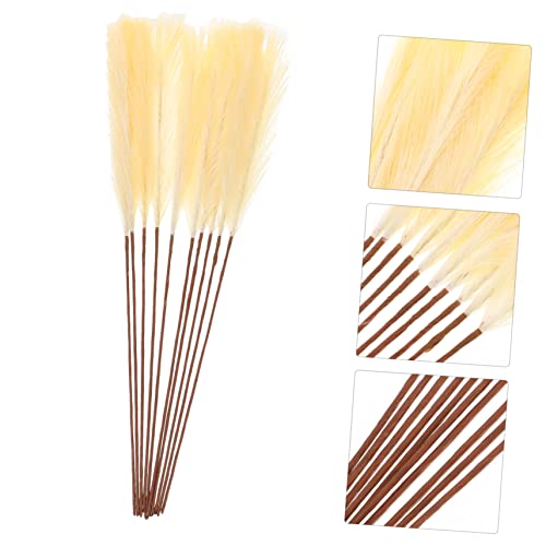 10 piezas de plumas secas decorativas boho artificiales miniatura 5