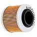 Road Passion High Performance Oil Filter Replacement for BMW G650GS 2009-2015 F650 GS ABS 652 2004-2005 G650GS Sertao 650 2012-2015 (pack of 2)