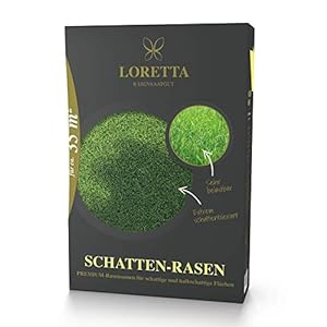 Loretta Schaduwgras, premium graszaad met poa supina, 0,6 kg voor ca. 35 m²