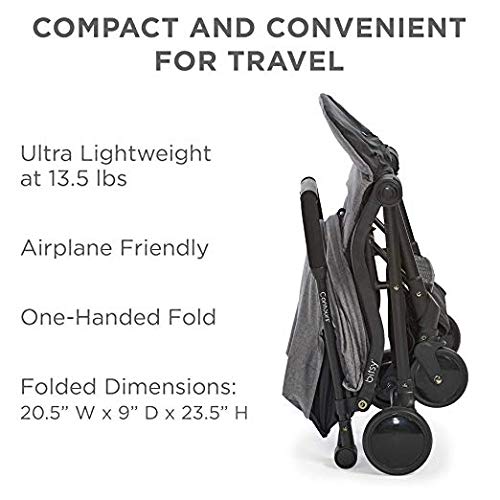 Contours Bitsy Compact Fold Lightweight Travel Stroller + Convenient Collapsible and Water-Resistant Bitsy Travel Bag/Carrying Case, Granite Gray/Black