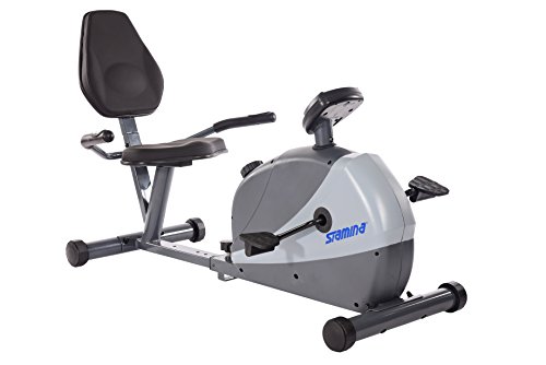 Stamina 4831 Magnetic Recumbent Exercise Bike, Silver