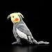 Ksydhwd Peluches Juguetes De Peluche De Cockatiel Gris De La Vida Real De 18 Cm, Mini Loros Realistas Extra Suaves, Pájaros De Peluche, Regalos De Juguete para Niños