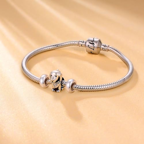 GW Stopper Charms 925 Sterling Silver Round Rondelle Spacer Beads for Charm Bracelets for Women4