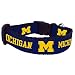NCAA Michigan Wolverines Collegiate Dog Collar, Large