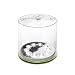 MPOWERD Luci Outdoor 2.0 - Inflatable Solar Light, Clear Finish, Adjustable Strap