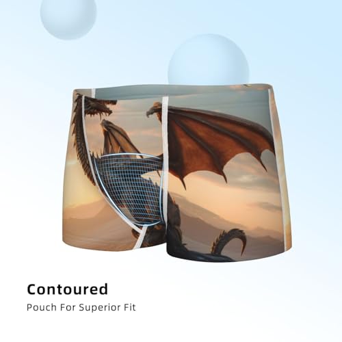 Boys' Cotton Boxer Brief Soft Underwear-Sky Sunset Bronze Dragon4