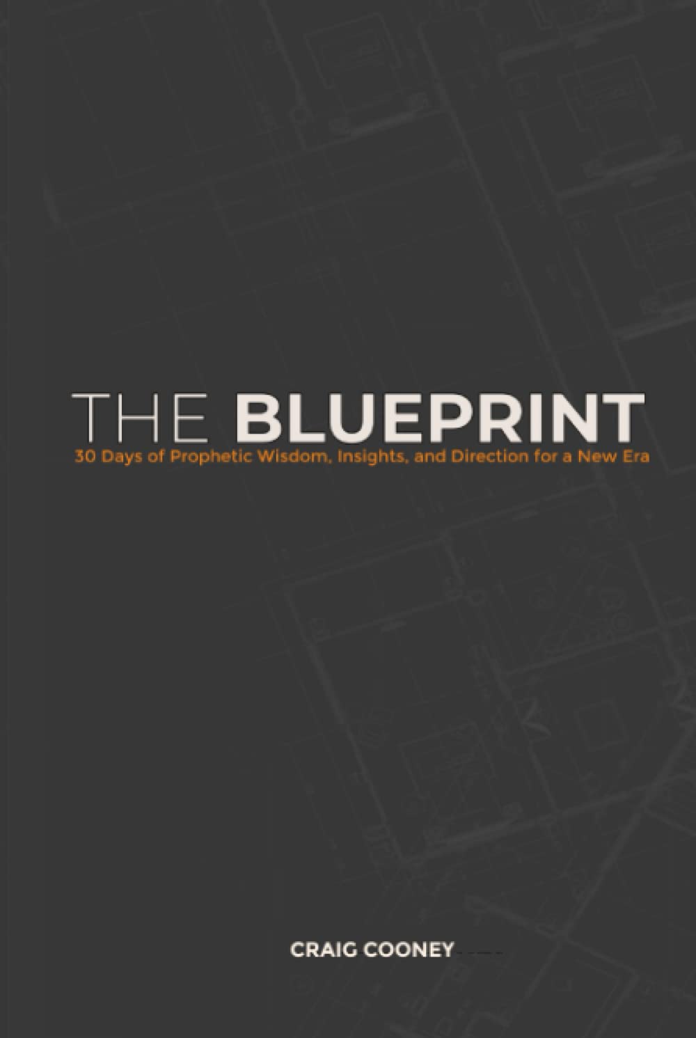 THE BLUEPRINT: 30 Days of Prophetic Wisdom, Insights, and Direction for a New Era