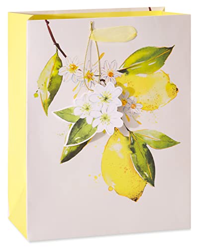 Image of Papyrus Gift Bags with Tissue Paper (Citrus) for Birthdays, Weddings, Bridal Showers, Baby Showers and All Occasions (2 Bags, 1 Large 13 inch, 1 Medium 9 inch, 8-Sheets)