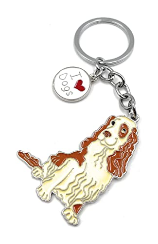 Onwomania Llavero de metal con forma de perro Cocker Spaniel, amuleto de la suerte en caja de regalo de aluminio, ideal para regalar, multicolor, Talla única