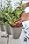 Keter Ivy Herbs Plastic Planter, 3-Pot Shape, Taupe, 13"
