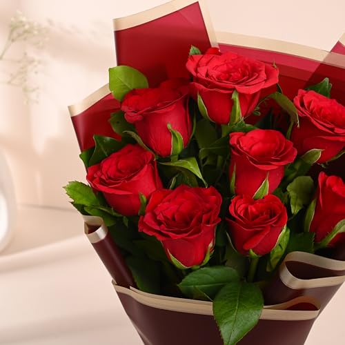 Image of FlowerAura Premium Fresh Live Flower Bouquet of 8 Red Roses In Designer Paper Gift For Birthday | Anniversary | Love | Home Decor | Fathers Day Gift For Dad