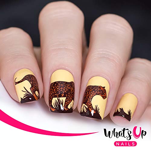 Whats Up Nails - Animal Stamping Plates 2 Pack (A015, B025) For Nail Art Design #TOP1