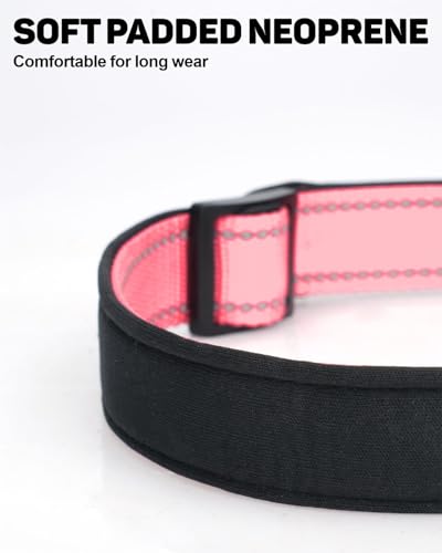 TagME Hundehalsband personalisiert, Reflektierendes gepolstertes Nylon Hundehalsband für kleine Hunde mit Namen und Telefonnummer
